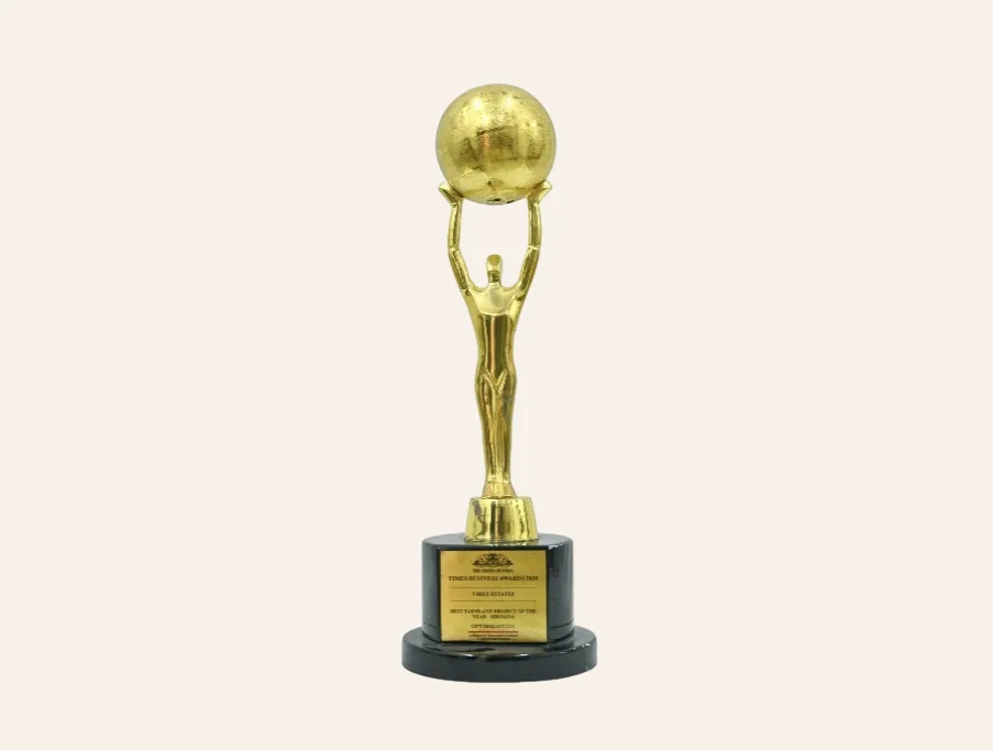 Times Business Award – for Sirivana